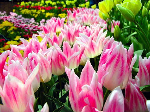 這幾個時辰出生的人，錢財大旺，飛黃騰達，家業昌盛